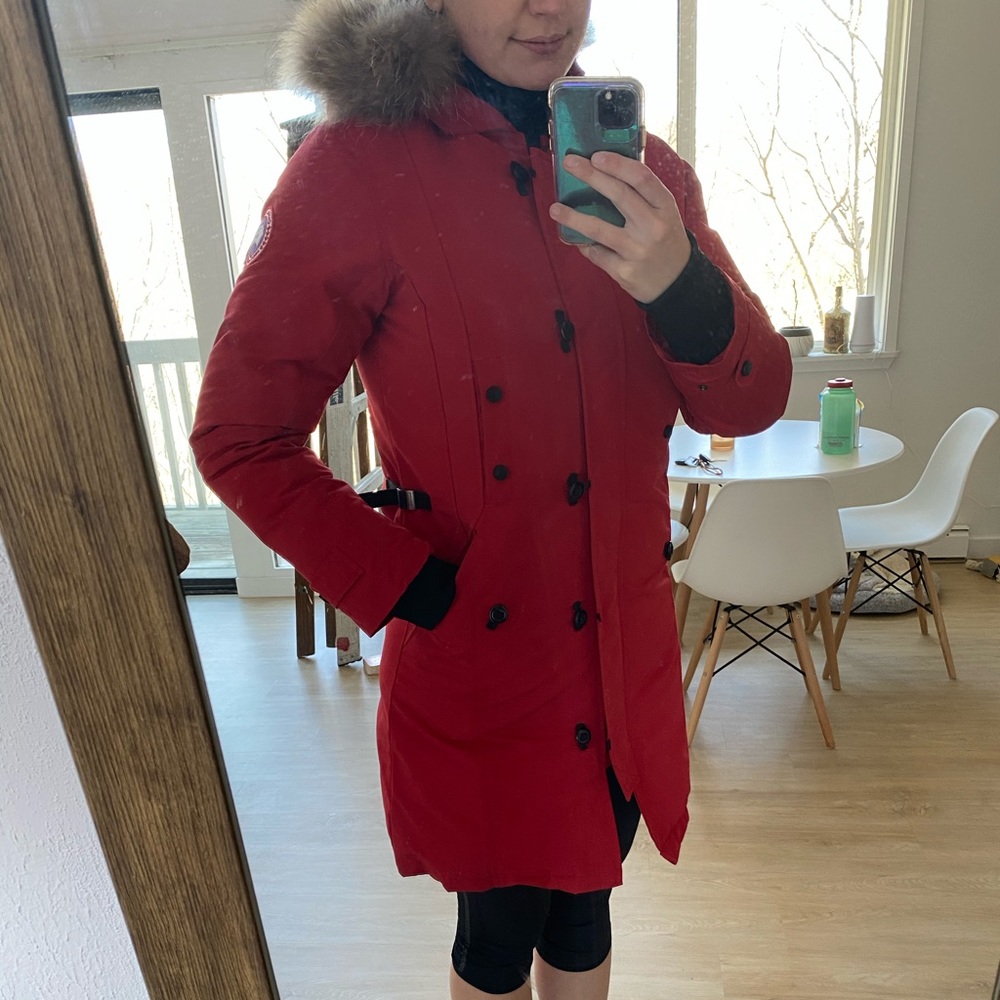 Authentic Canada goose